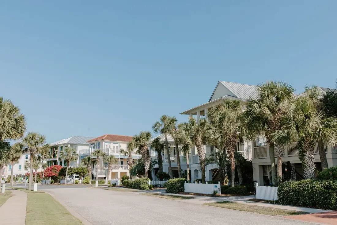 Palm lined residential street of pale two storey homes