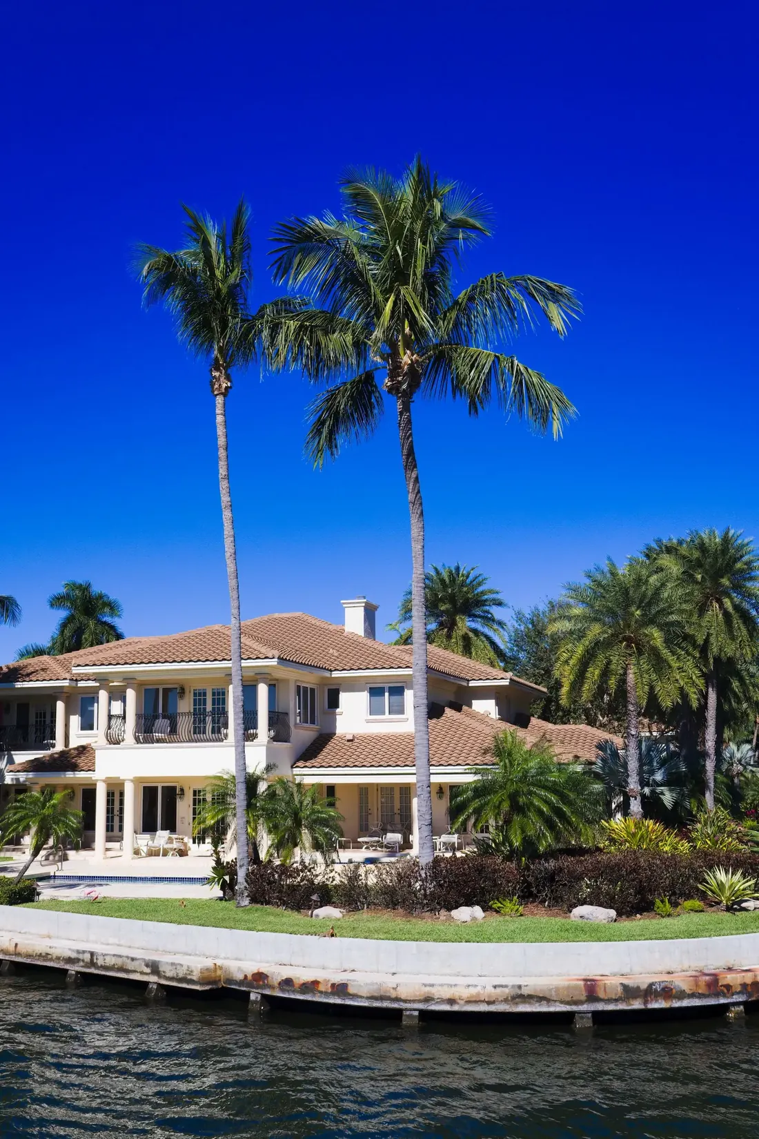 Property framed by tall palms on a wide green lot