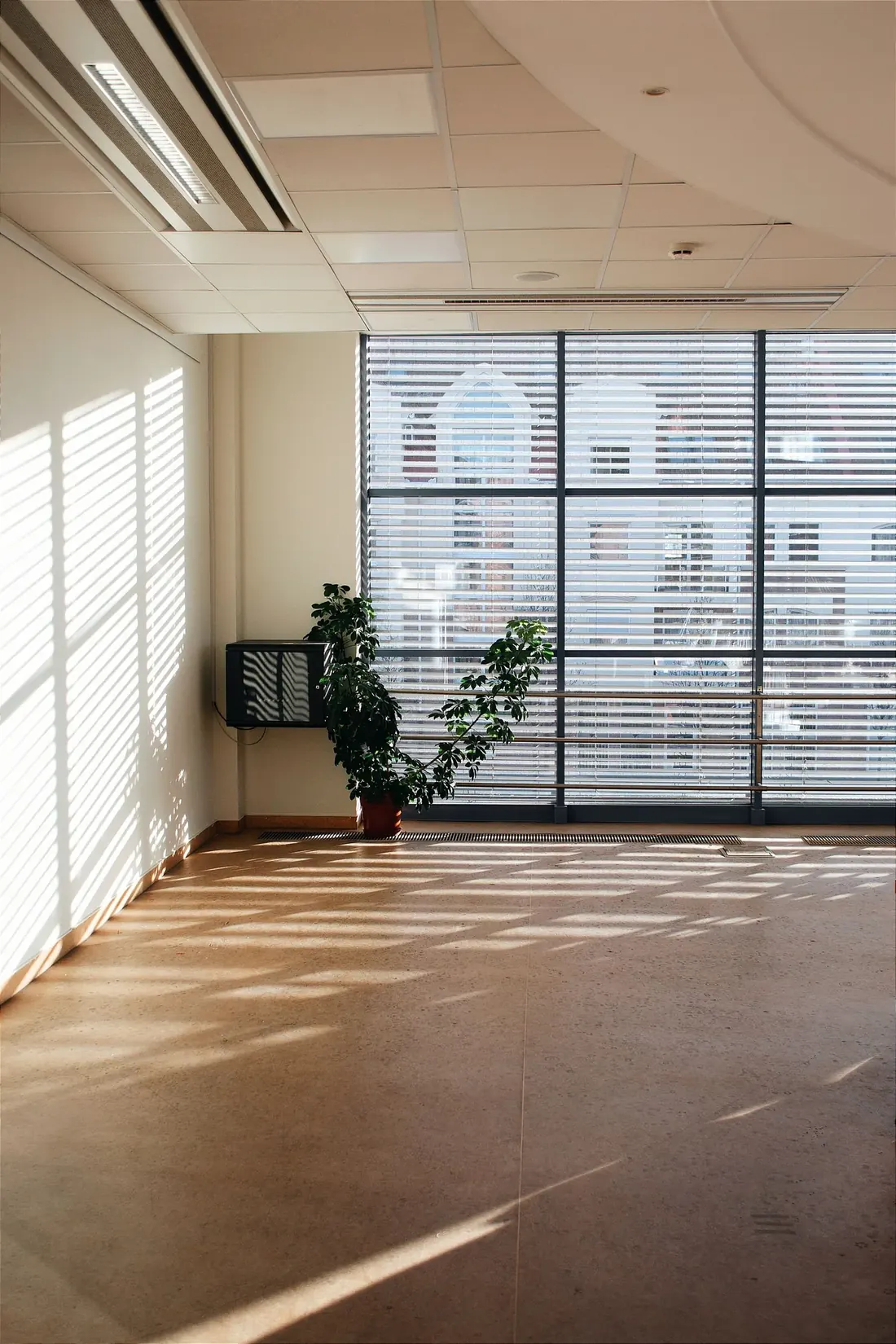 Empty office floor lit by afternoon sun through full height windows