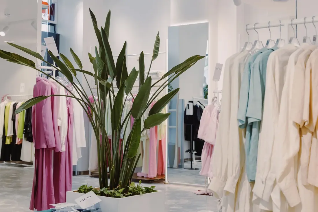 Boutique rail of pastel garments beside a tall indoor plant